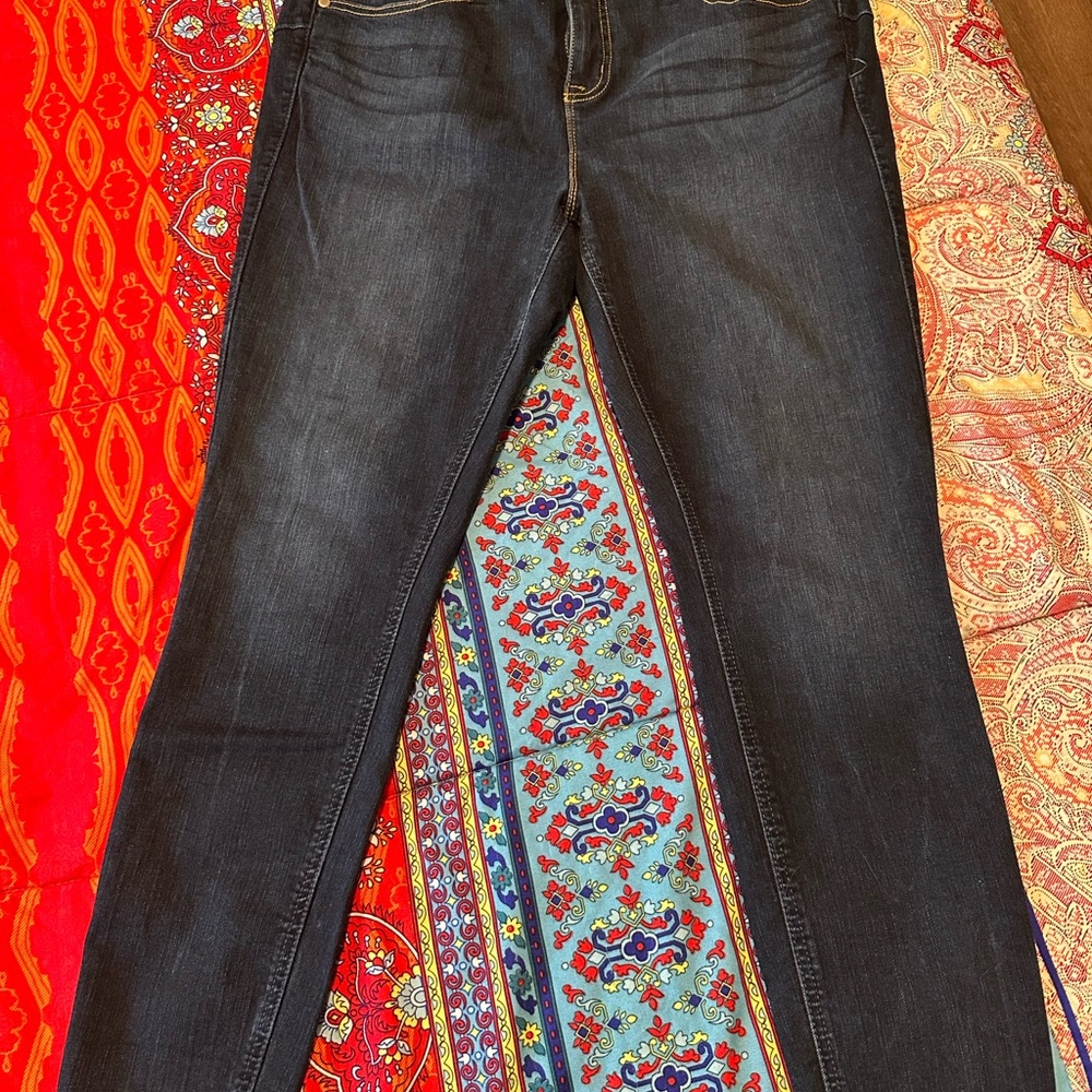 Torrid Blue Skinny Jeans Classic Style